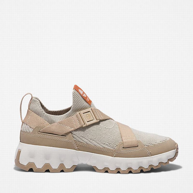 Beige Timberland Edge EK+ Hiking Shoes | 1405549