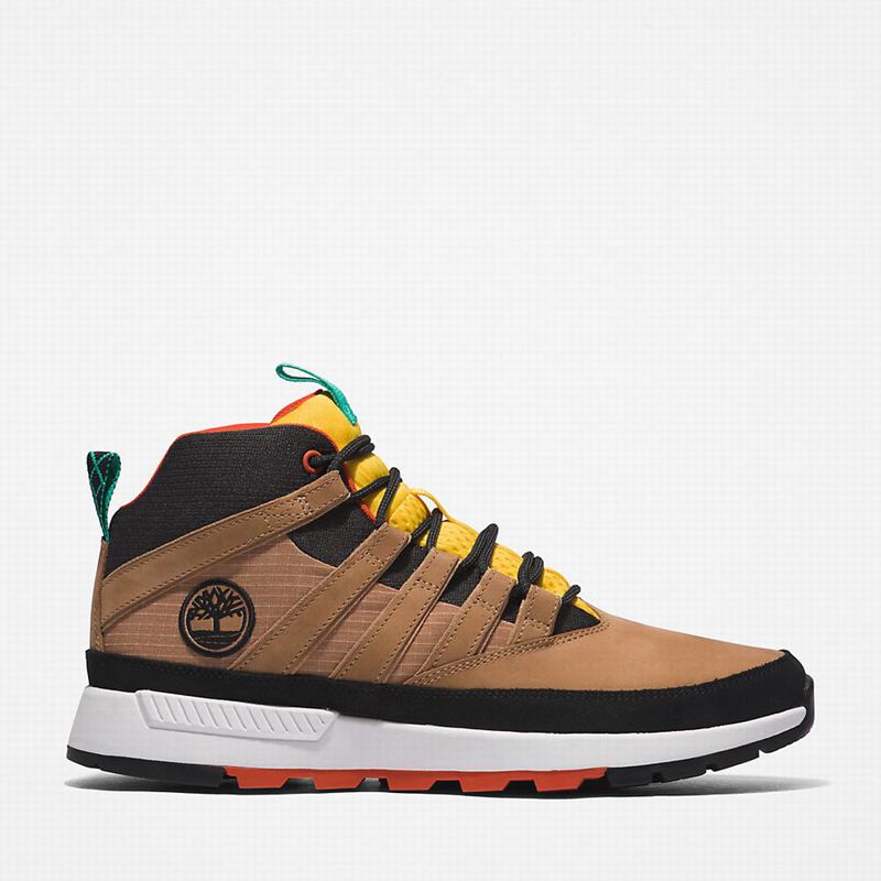Beige Timberland Euro Hiking Boots | 90086982