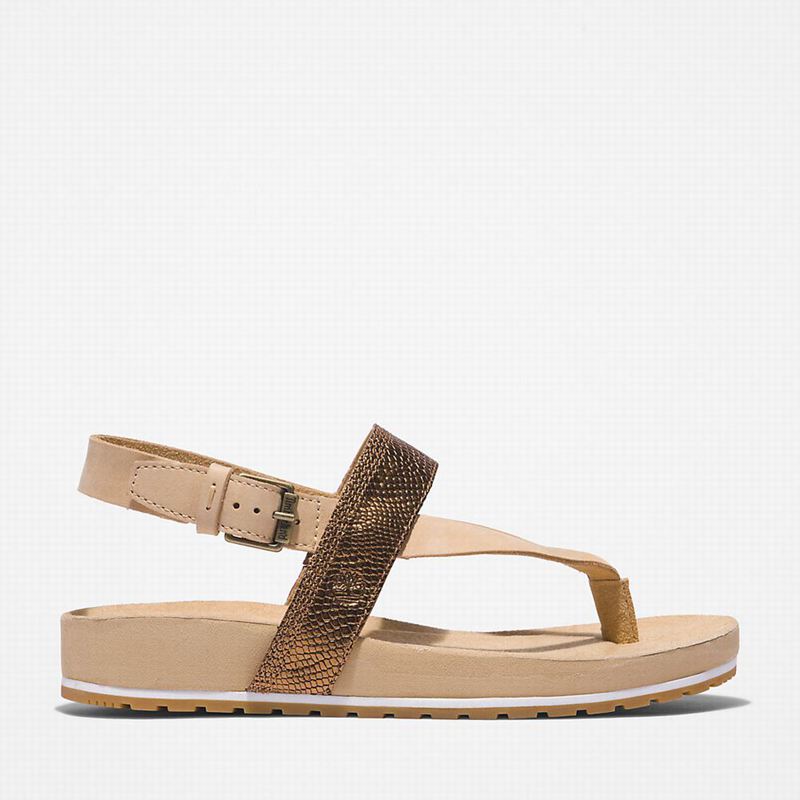 Beige Timberland Malibu Beach Flip-Flop Sandals | 89026432