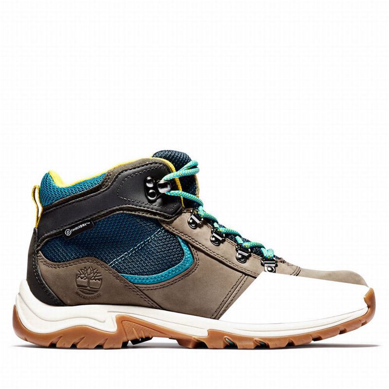 Beige Timberland Mt. Maddsen Gore Tex Hiking Boots | 76674241