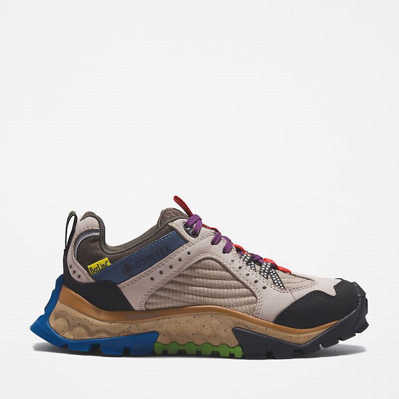 Beige Timberland Solar Ridge Hiking Shoes | 32053745