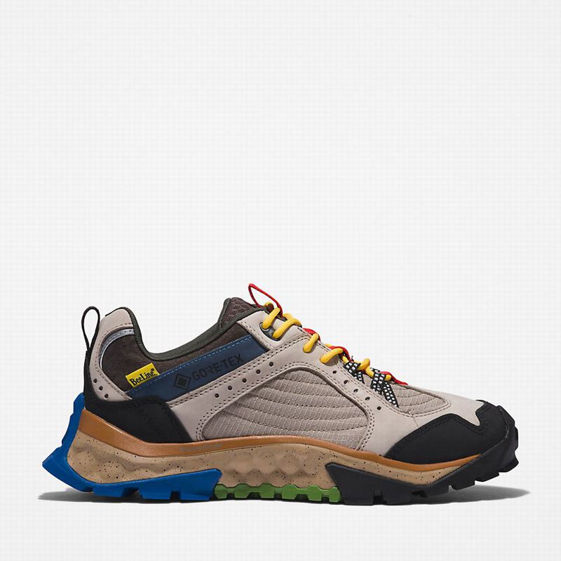 Beige Timberland Solar Ridge Hiking Shoes | 89504928