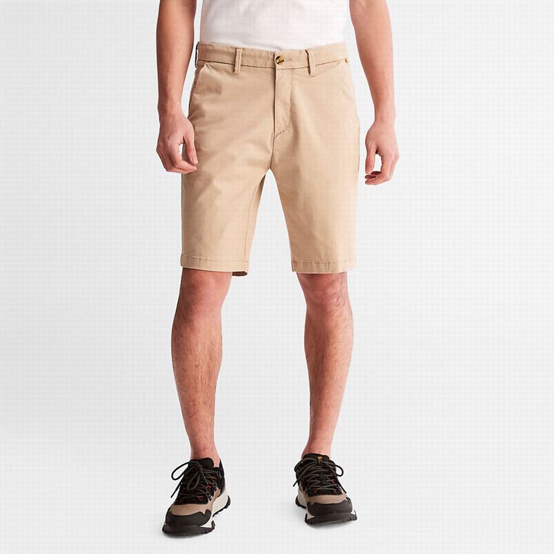 Beige Timberland Squam Lake Stretch Chino Shorts | 65237037