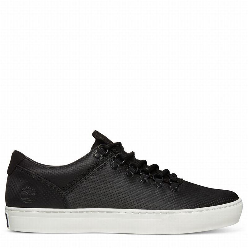 Black Timberland Adventure 2.0 Alpine Oxford Sneakers | 81130437