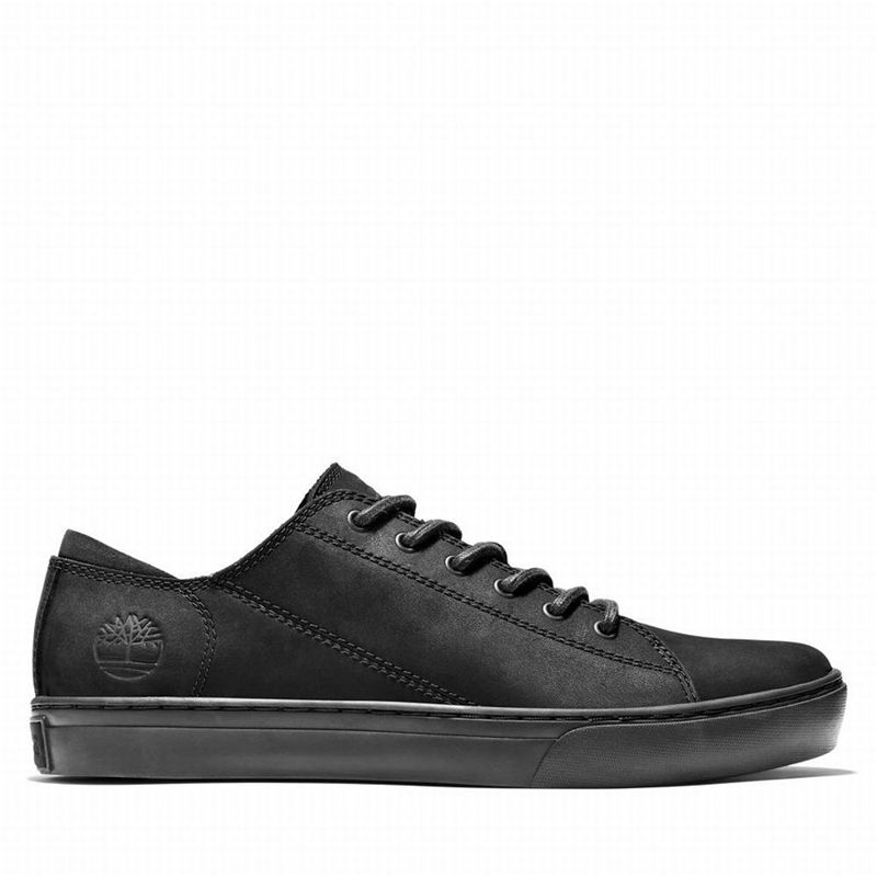 Black Timberland Adventure 2.0 Sneakers | 15299365