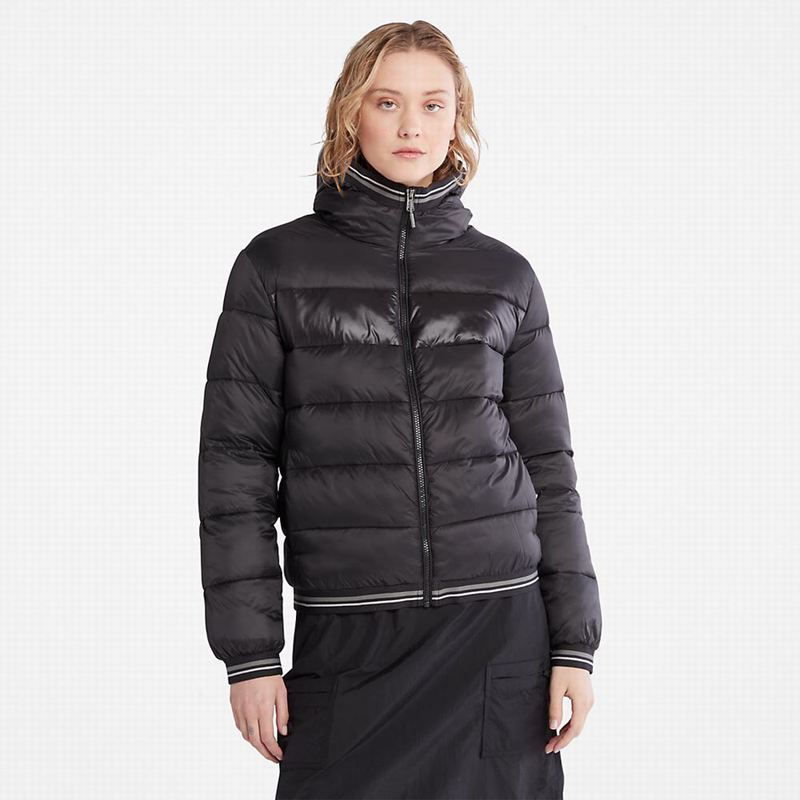 Black Timberland Axis Peak Jackets | 68077665