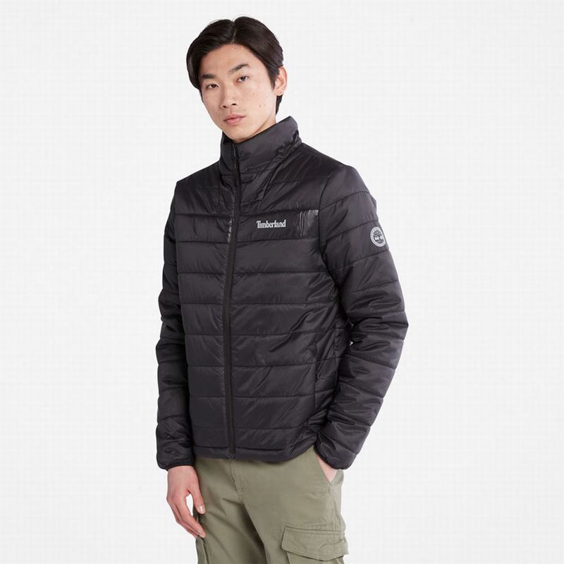 Black Timberland Eco Ready Merino-Blend Winter Jackets | 24259159