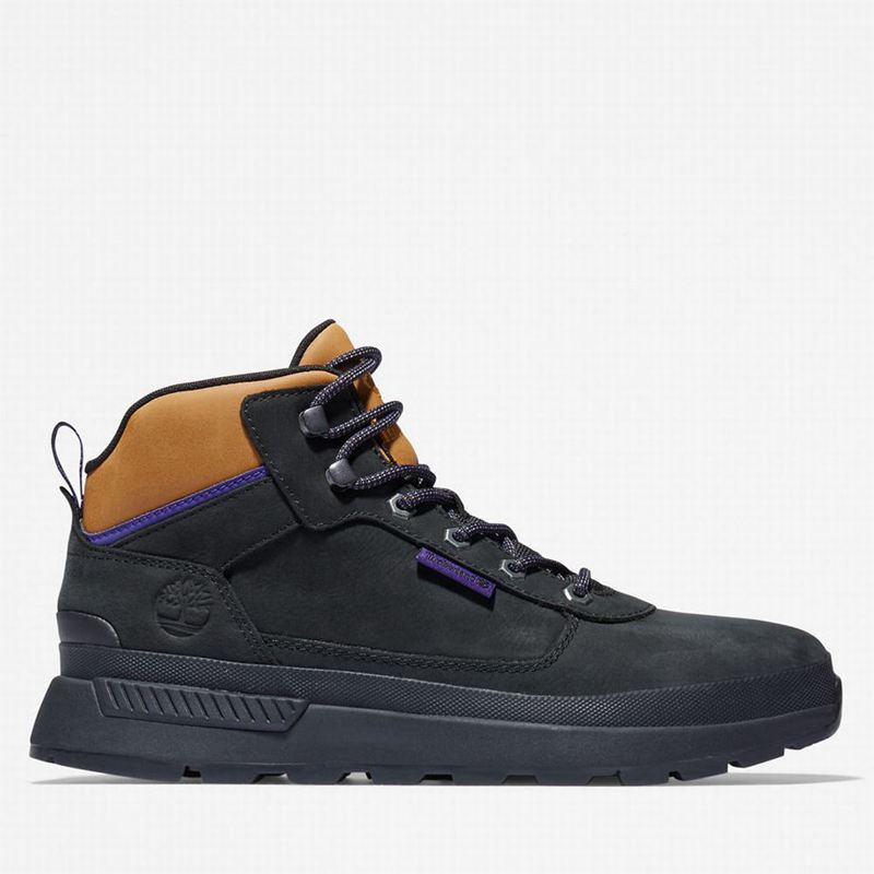 Black Timberland Field Trekker Sneakers | 3396116