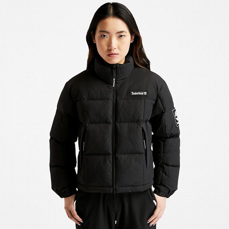 Black Timberland Gritman Lined Hooded Canvas Winter Jackets | 15523124
