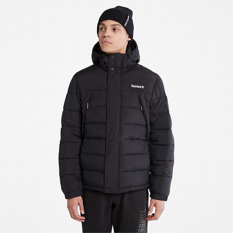 Black Timberland Insulated Overshirt Puffer Jackets | 97118716