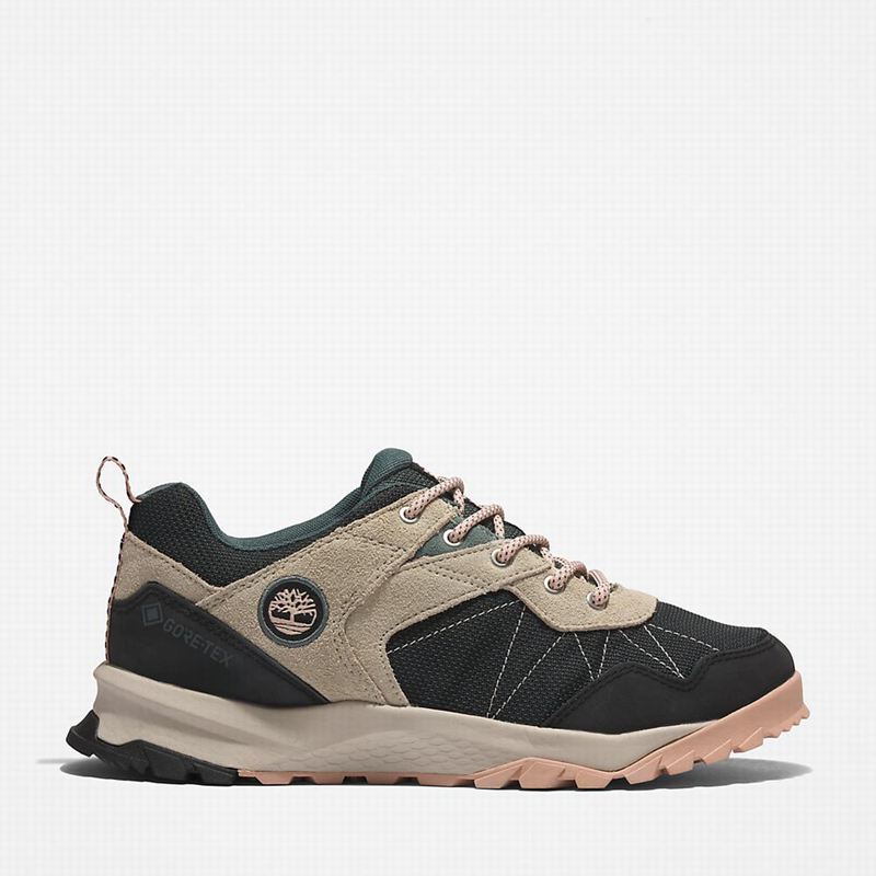 Black Timberland Lincoln Peak Gore-Tex Low Hiking Shoes | 96065368