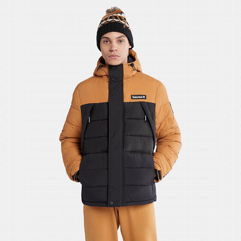 Black Timberland Mount Kelsey Field Puffer Jackets | 3720143