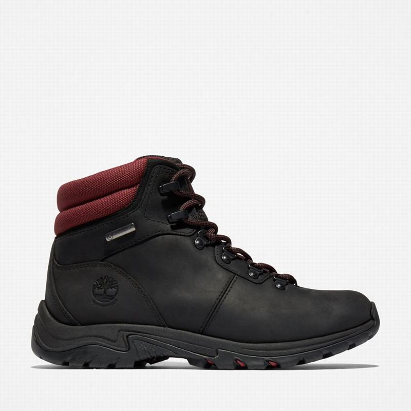 Black Timberland Mt. Maddsen Waterproof Hiking Boots | 9278897
