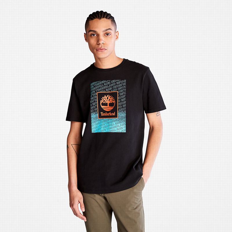 Black Timberland Multi-logo T-Shirts | 98872326