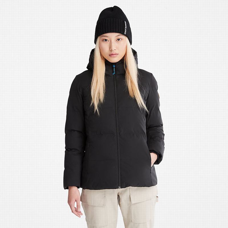 Black Timberland Non Puffer Jackets | 25990327