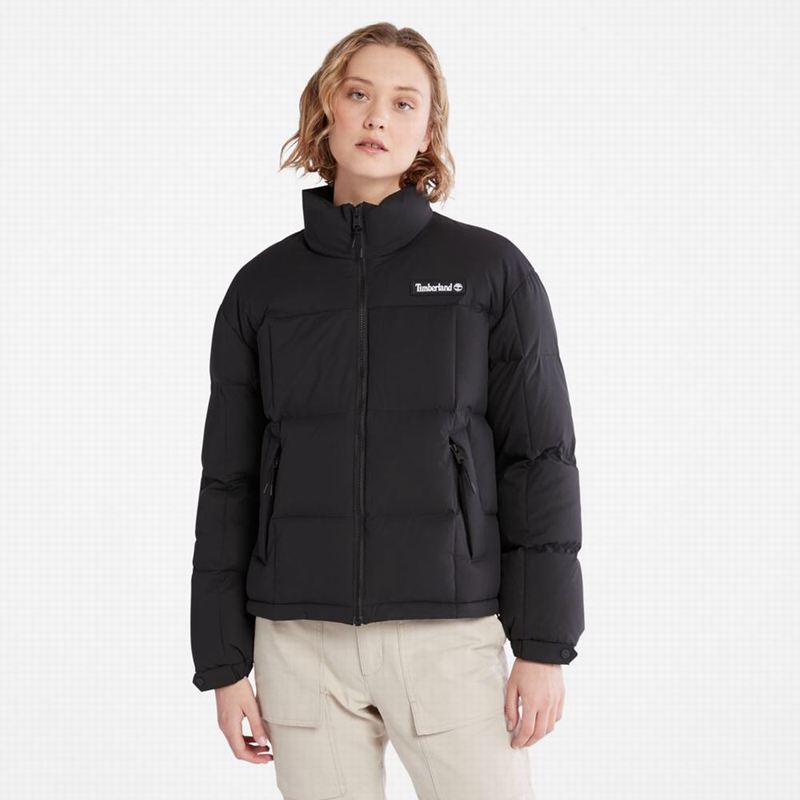 Black Timberland Outdoor Heritage Field Puffer Jackets | 37182002
