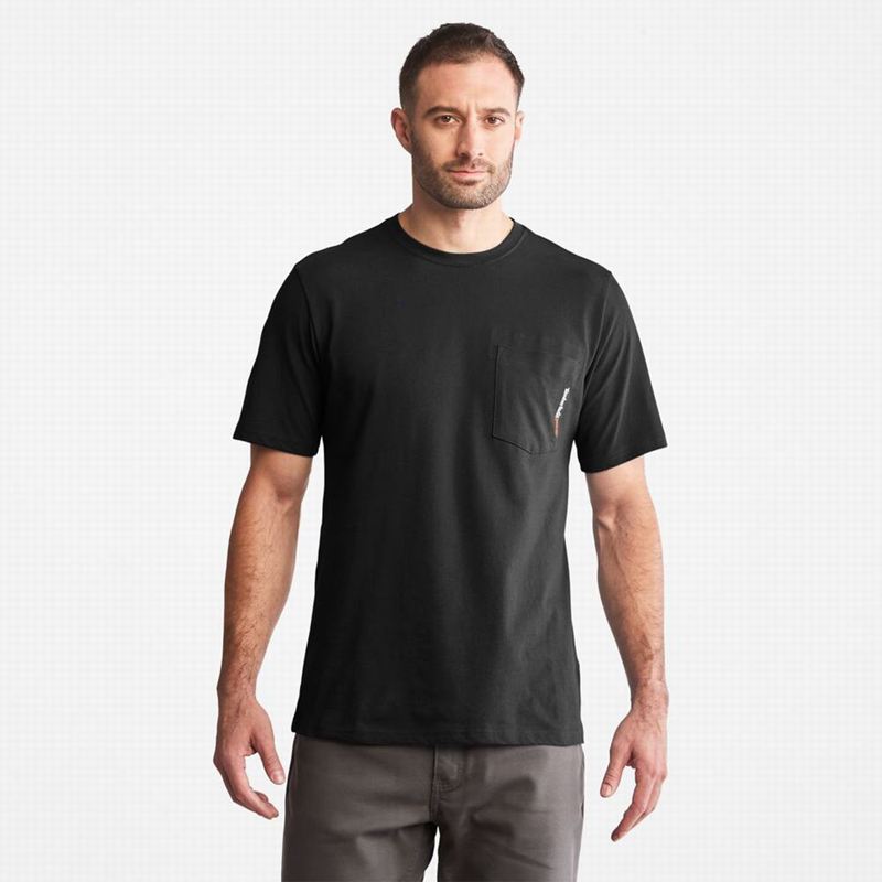 Black Timberland Paint Pride T-Shirts | 42420994