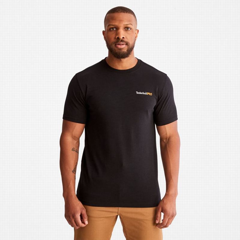 Black Timberland Paint Pride T-Shirts | 74598399
