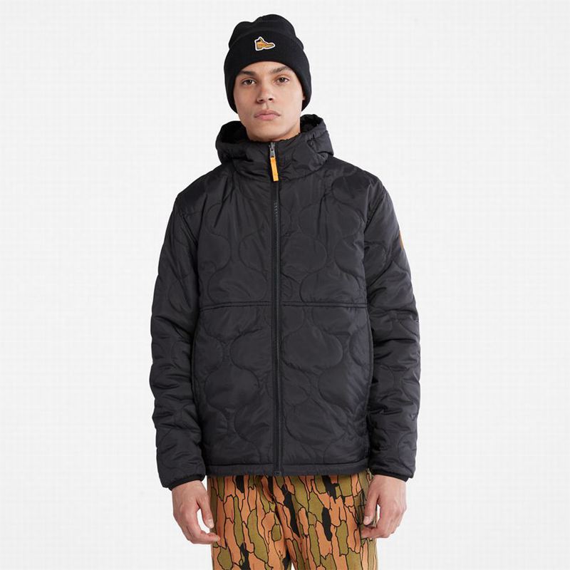 Black Timberland Reversible Jackets | 83449253