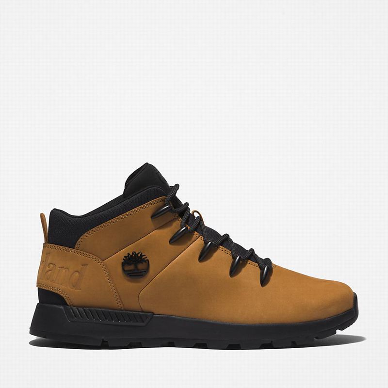 Black Timberland Sprint Mid Hiking Boots | 26157296