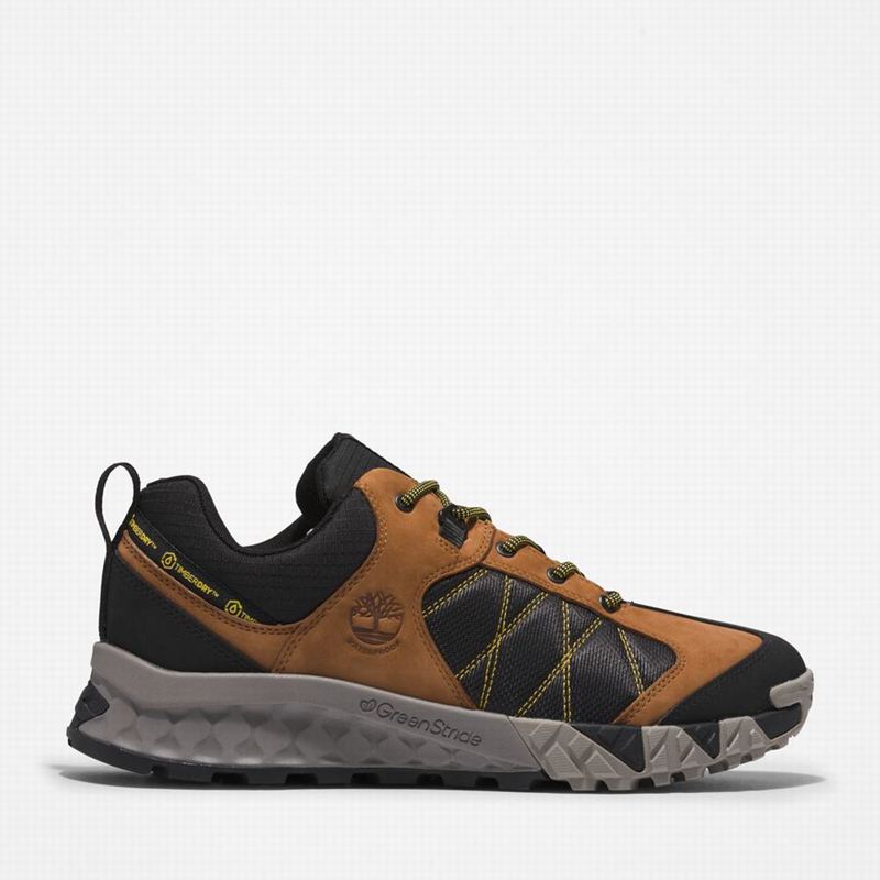 Black Timberland Trailquest Waterproof Hiking Shoes | 82074553