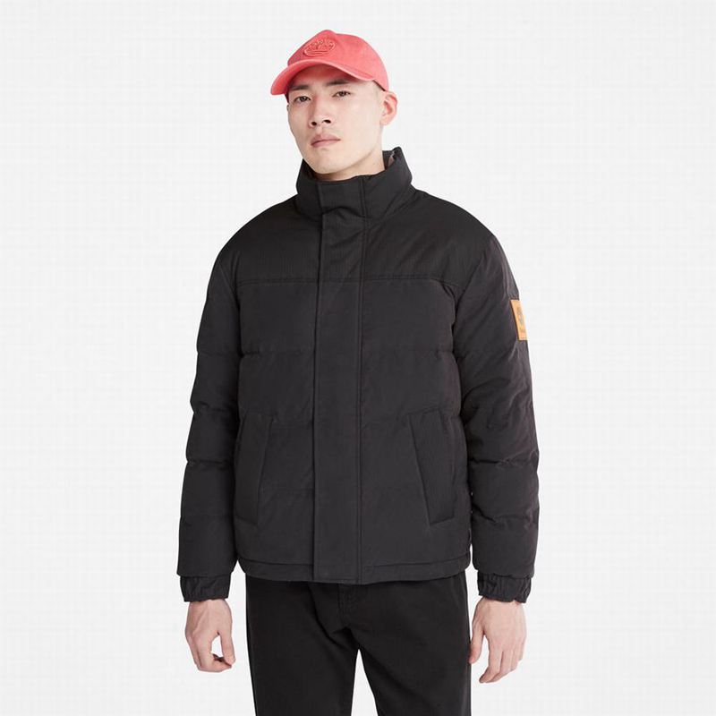 Black Timberland Water-Repellent Packable Windbreaker | 25529780