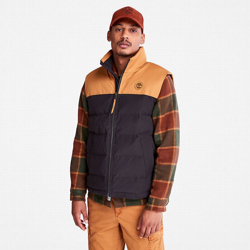 Black Timberland Welch Mountain Vest | 16940627