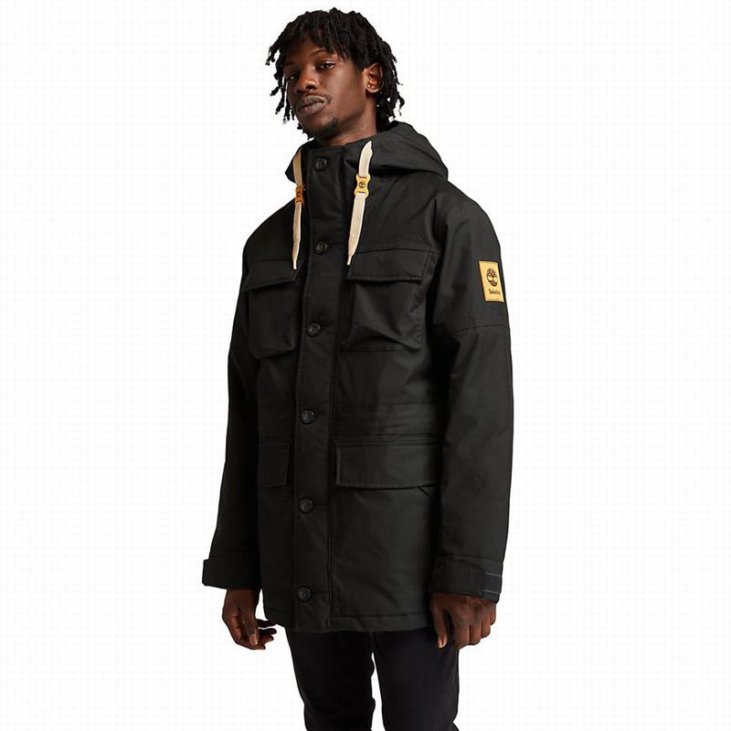 Black Timberland Wilmington DryVentField Parka | 29538462