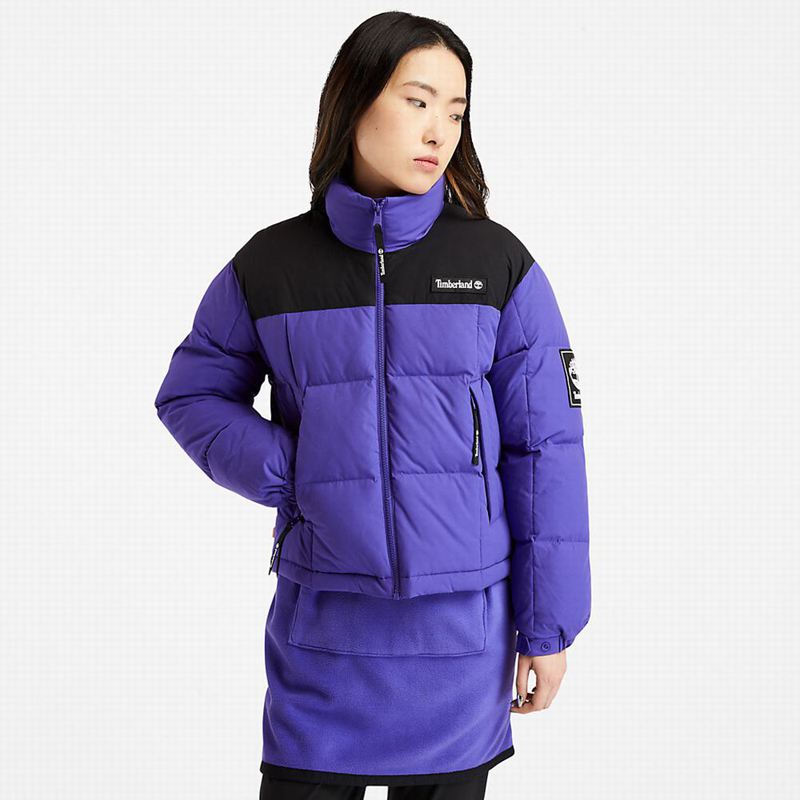 Blue Timberland Gritman Lined Hooded Canvas Winter Jackets | 34504779