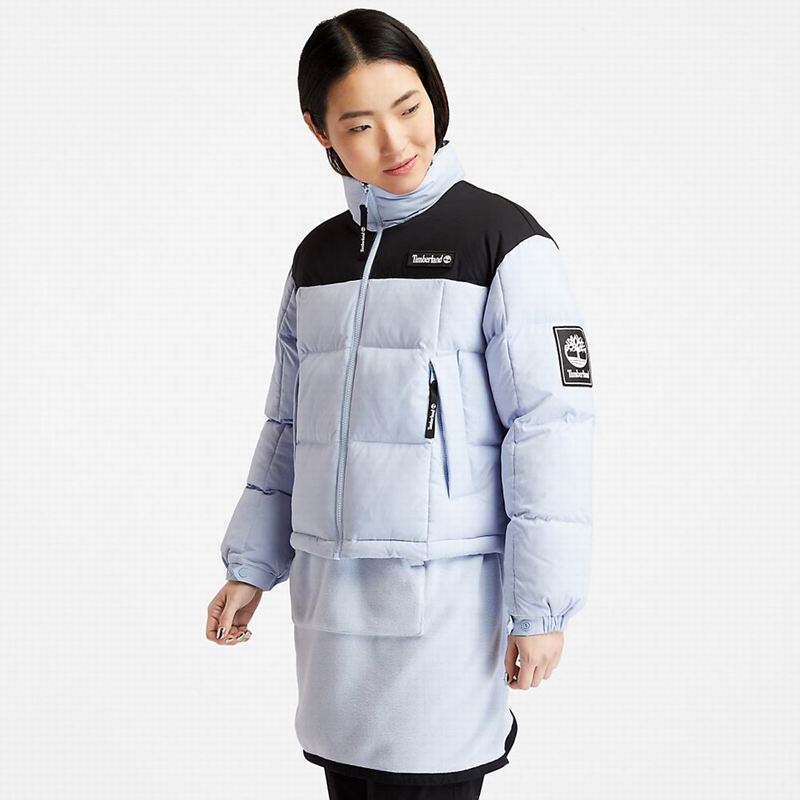 Blue Timberland Gritman Lined Hooded Canvas Winter Jackets | 39581582