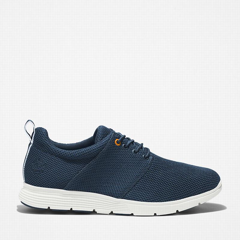 Blue Timberland Killington Oxford Sneakers | 51060872