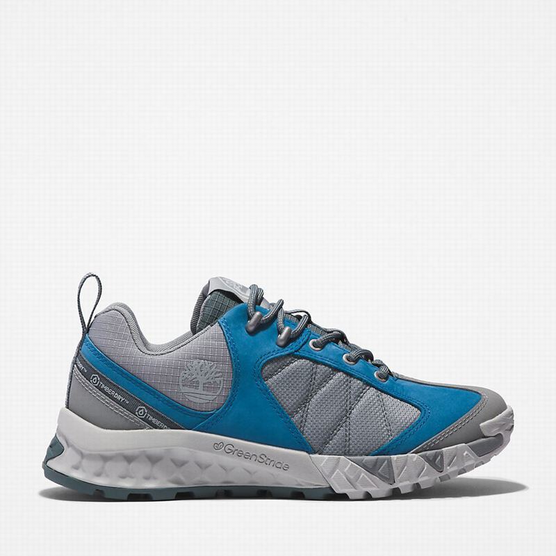 Blue Timberland Trailquest Waterproof Hiking Boots | 32396845