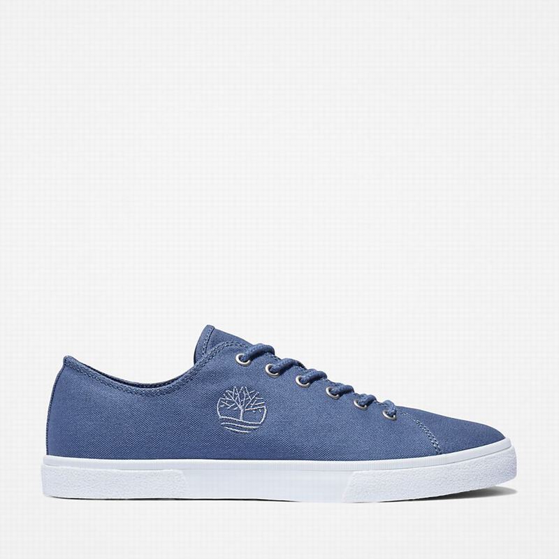 Blue Timberland Union Wharf 2.0 EK+ Sneakers | 23615596