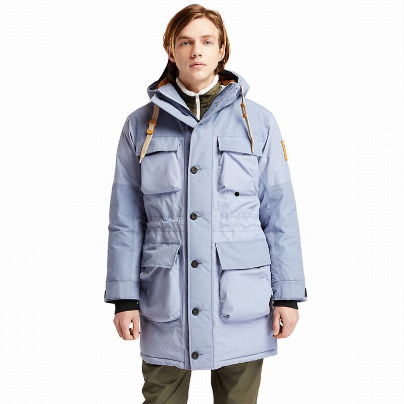 Blue Timberland Wilmington Expedition EK+ Waterproof Parka | 54134565