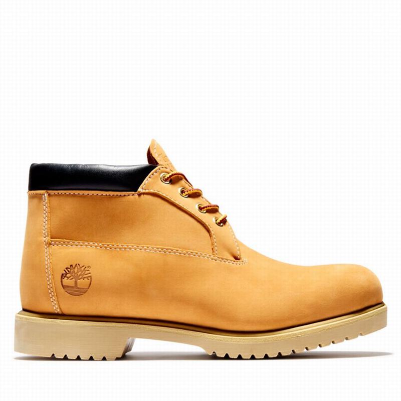 Brown Timberland 1973 Newman Waterproof Chukka Boots | 96648070