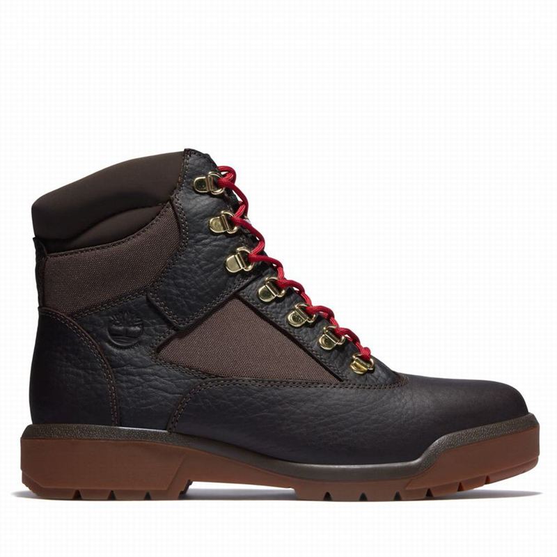 Brown Timberland 6-Inch Waterproof Field Waterproof Boots | 31727977