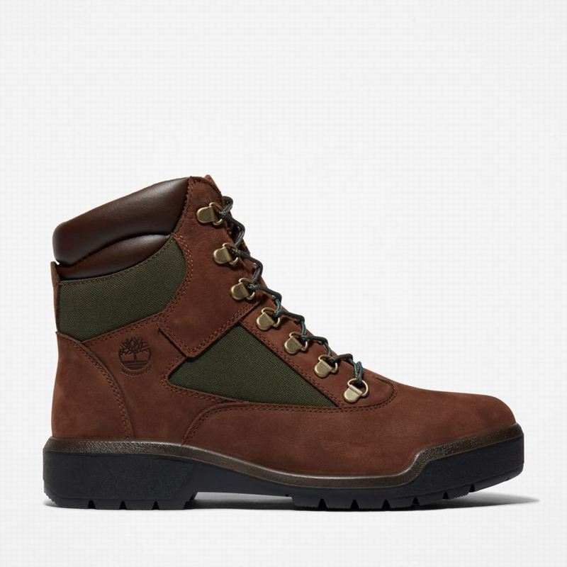 Brown Timberland 6-Inch Waterproof Field Waterproof Boots | 98139644