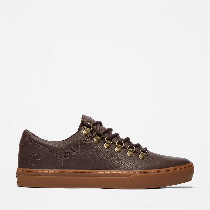 Brown Timberland Adventure 2.0 Cupsole Alpine Sneakers | 17648267