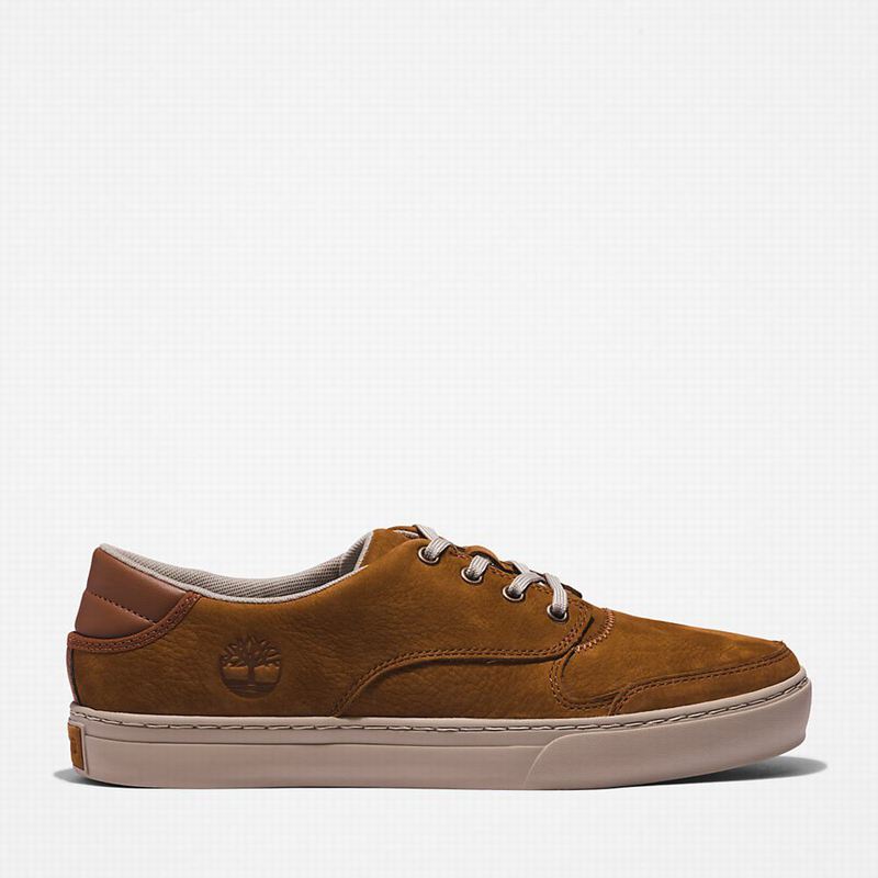 Brown Timberland Adventure 2.0 Low Sneakers | 19200629