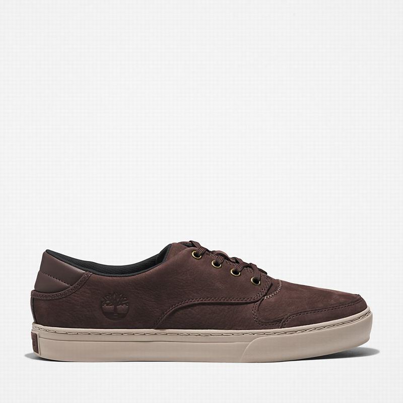 Brown Timberland Adventure 2.0 Low Sneakers | 6930364