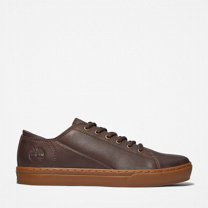 Brown Timberland Adventure 2.0 Sneakers | 11489435