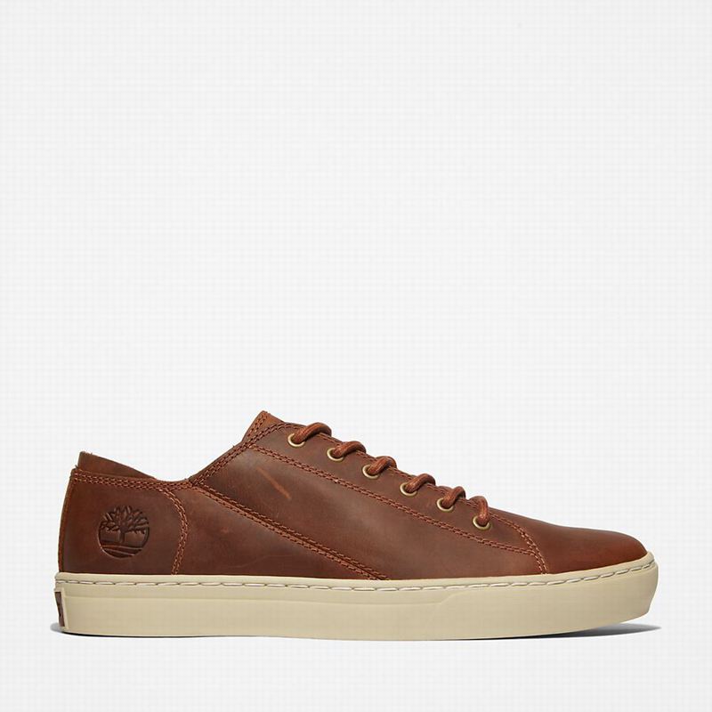 Brown Timberland Adventure 2.0 Sneakers | 78015852