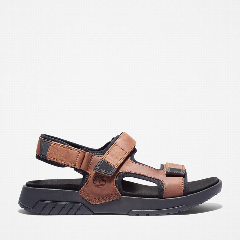 Brown Timberland Anchor Watch Backstrap Sandals | 9192723