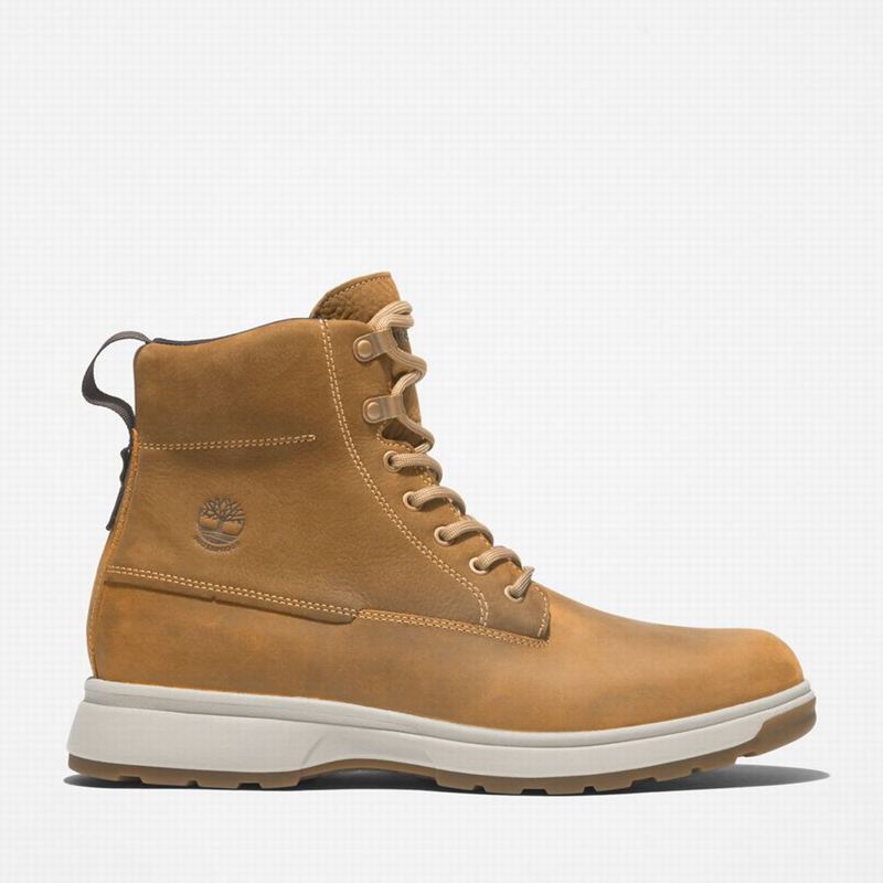 Brown Timberland Atwells Ave Waterproof Waterproof Boots | 38757360