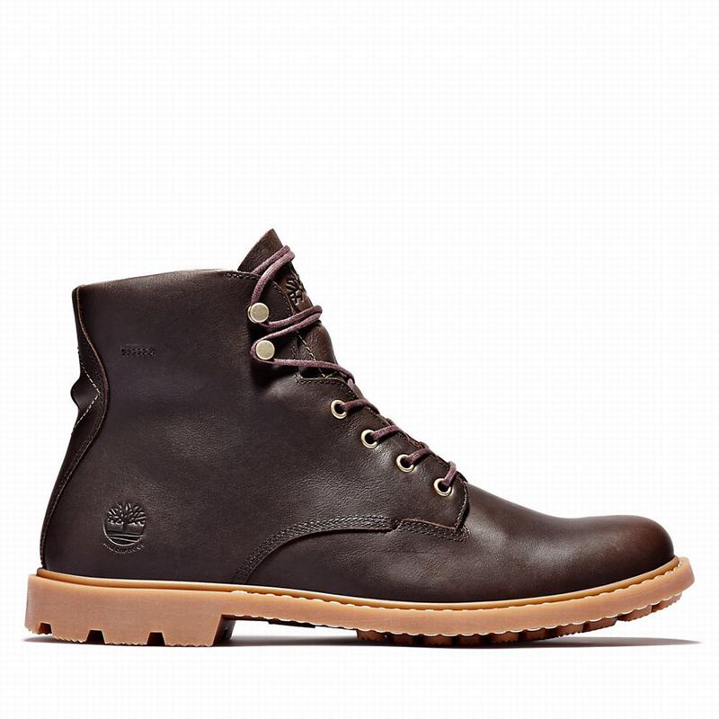 Brown Timberland Belanger EK+ 6 Inch Boots | 12625243
