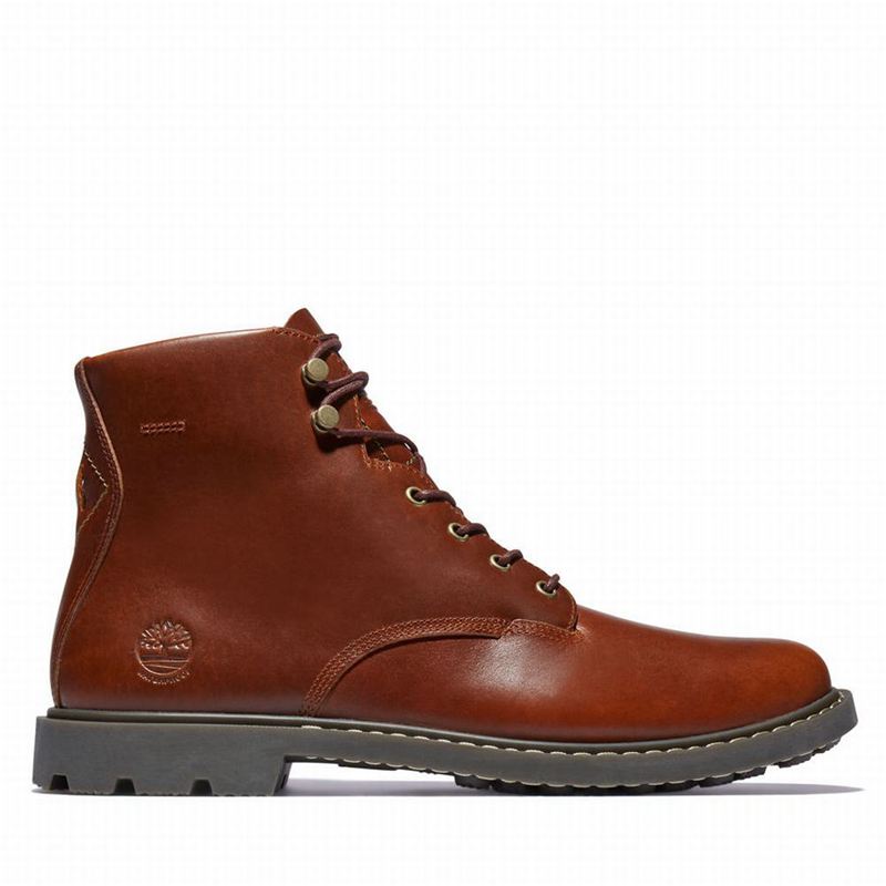 Brown Timberland Belanger EK+ 6 Inch Boots | 73355913