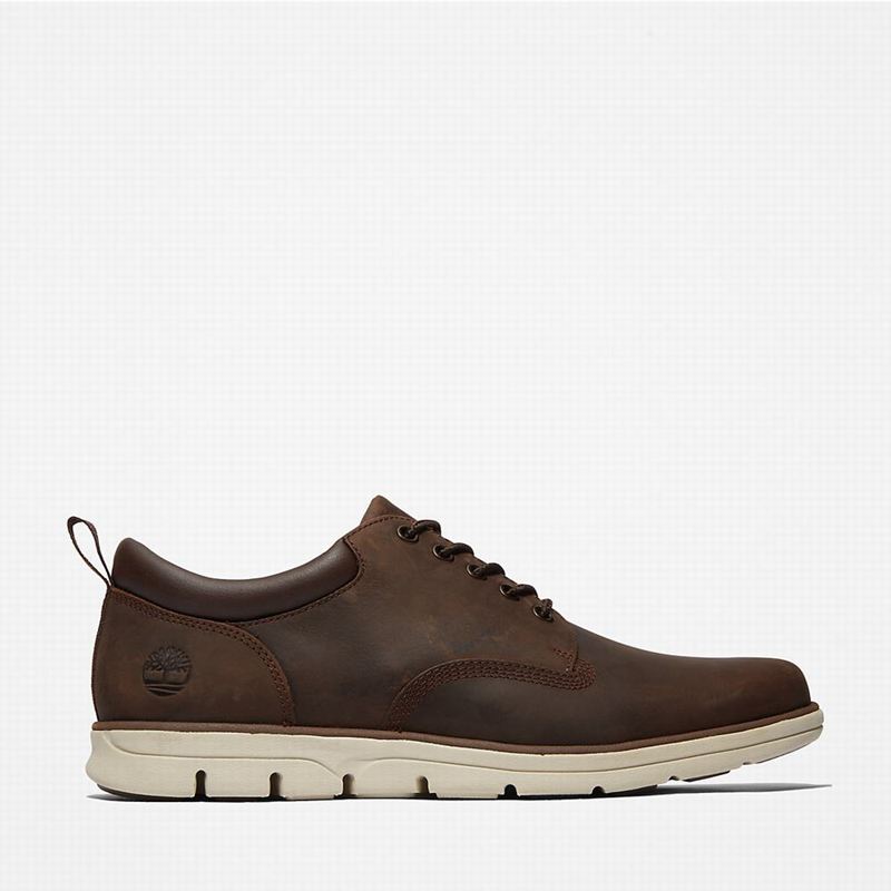 Brown Timberland Bradstreet Leather Oxford Shoes | 1593156