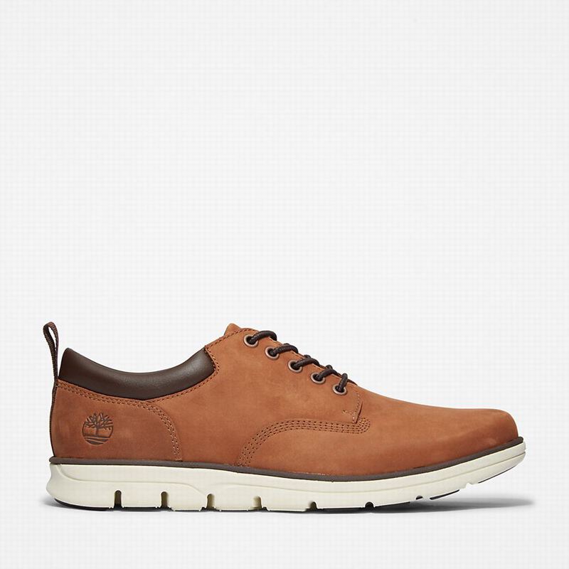 Brown Timberland Bradstreet Leather Oxford Shoes | 27089290