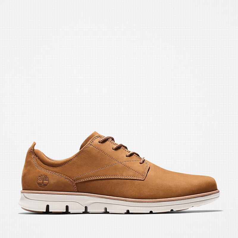 Brown Timberland Bradstreet Sneakers | 1509240
