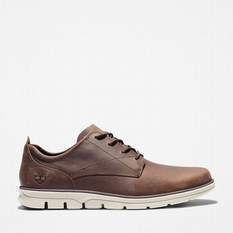 Brown Timberland Bradstreet Sneakers | 39699437